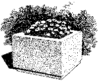 Penobscot Planter graphic