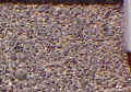 Exposed Aggregate Finish